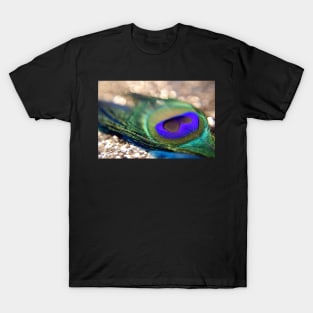 "Gold Sparkle & Peacock Feather" T-Shirt